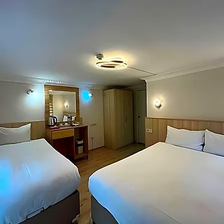 Le Safran Palace Hotel 3*