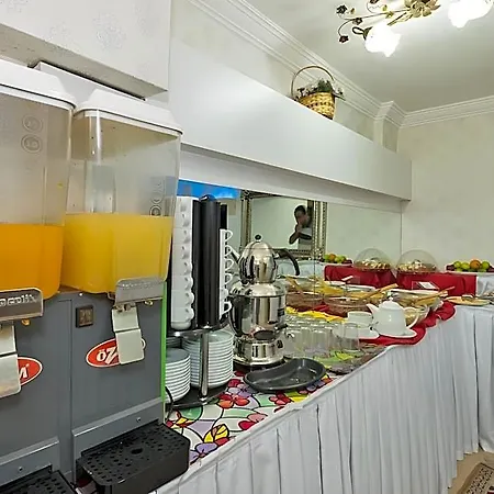 Le Safran Palace 3*