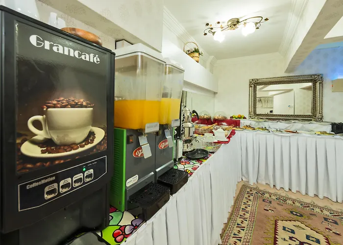 Le Safran Palace 3* Istanbul