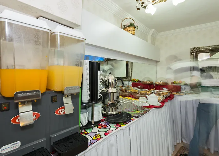 Hotell Le Safran Palace 3*