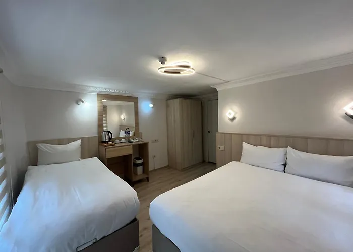 Le Safran Palace Hotell