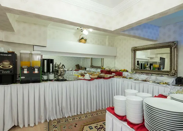 Le Safran Palace Hotell 3*