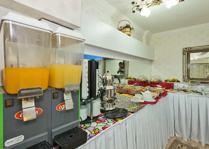 Le Safran Palace 3* Istanbul