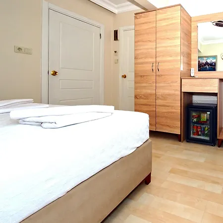 Le Safran Palace 酒店 伊斯坦布尔