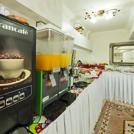 Le Safran Palace 3* Istanbulská provincie