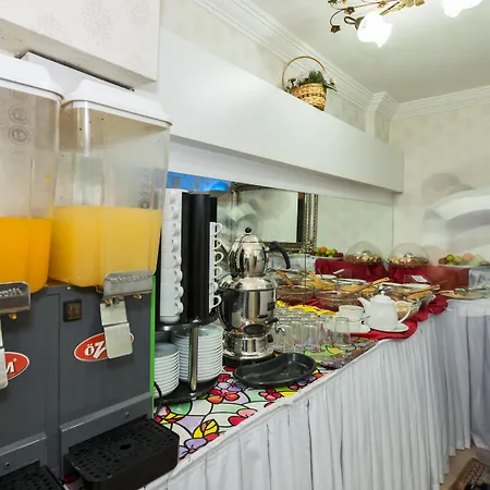 Hotel Le Safran Palace 3*