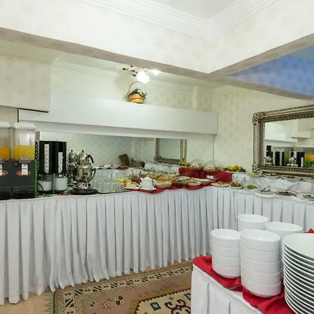 Le Safran Palace Hotel 3*